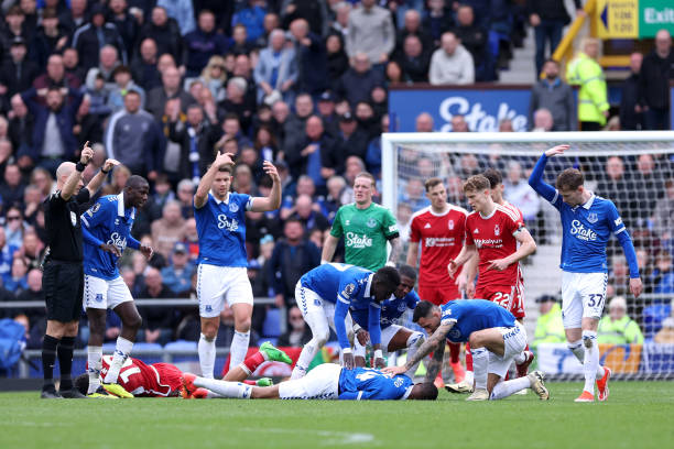 多样化和深 多样化和深